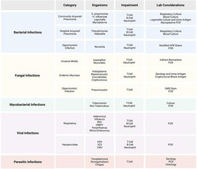 How I approach: the transplant recipient with fever and pulmonary infiltrates